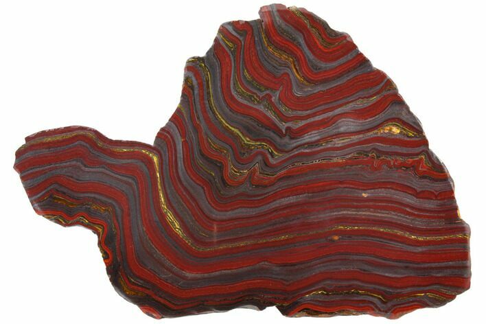 Polished Tiger Iron Stromatolite - Billion Years #129344